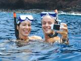 maui dolphin cruise maui dolphin cruise